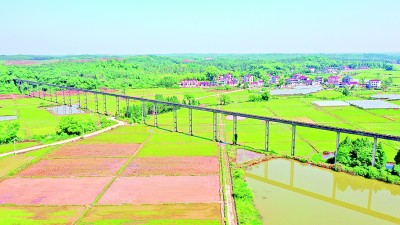 res0603_attpic_brief